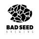Bad Seed Beer Fest 2026